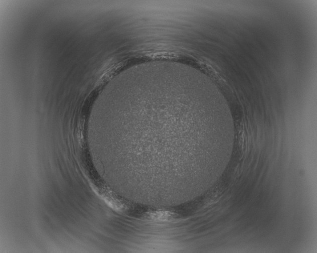 X0000080100695200612151621