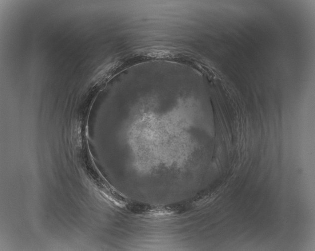 X0000080100696200612151621