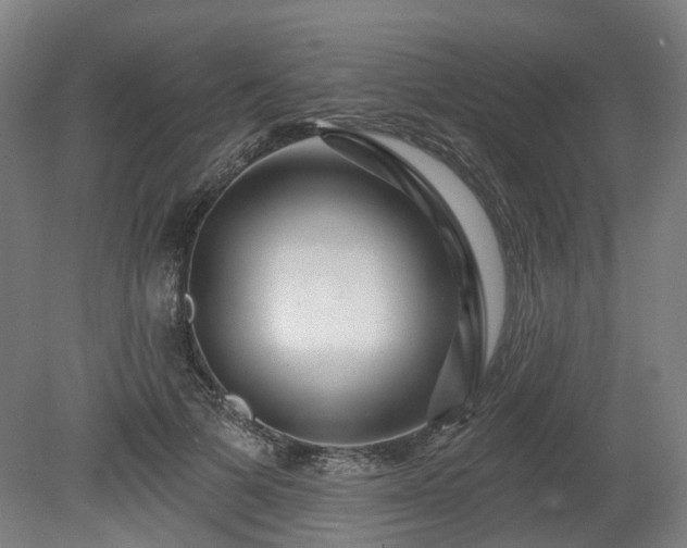 X0000080100697200612151621
