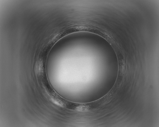 X0000080100700200612151621