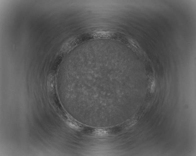 X0000080100701200612151621