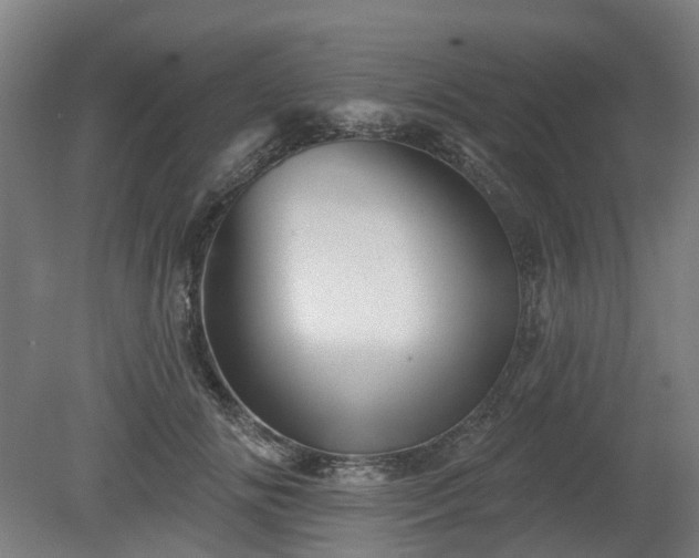 X0000080100702200612151621