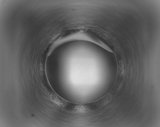 X0000080100704200612151621