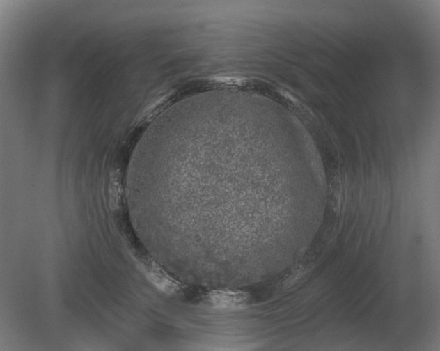 X0000080100707200612151621
