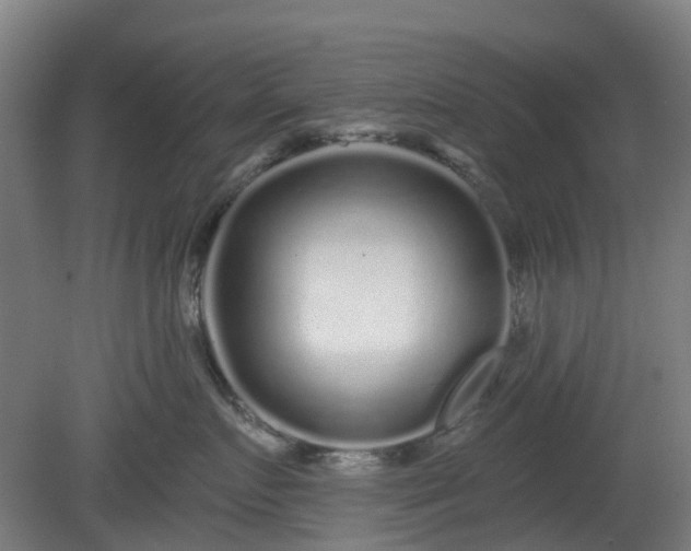 X0000080100719200612151621