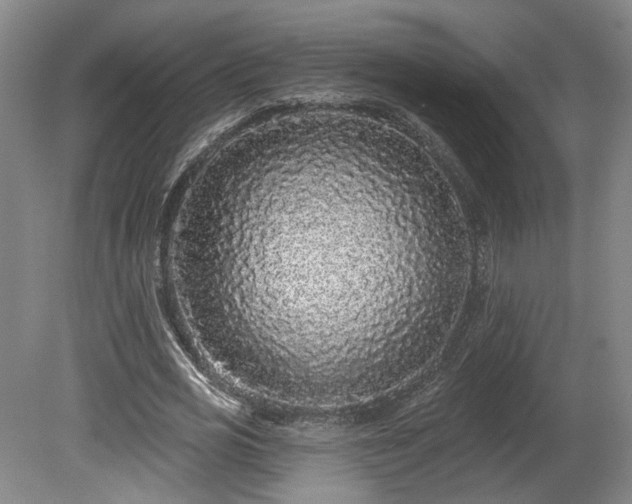 X0000080100725200612151620