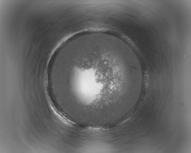 X0000080100726200612151620