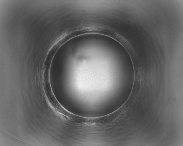 X0000080100730200612151620