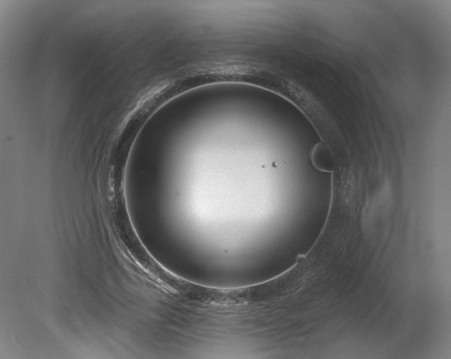 X0000080100731200612151620
