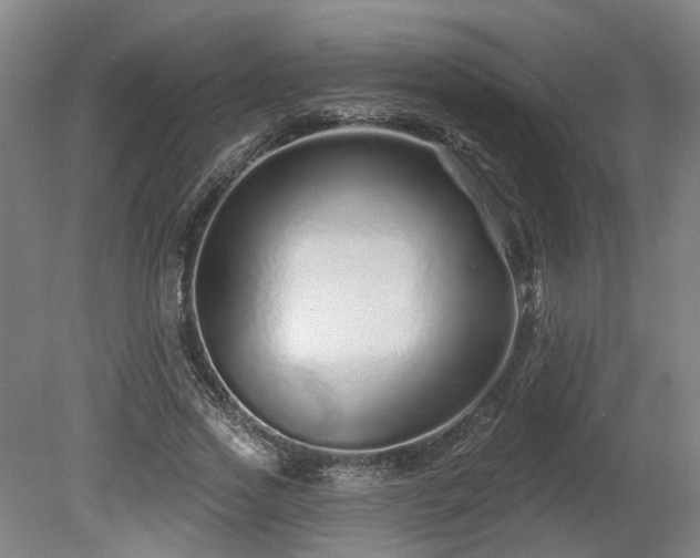 X0000080100733200612151620