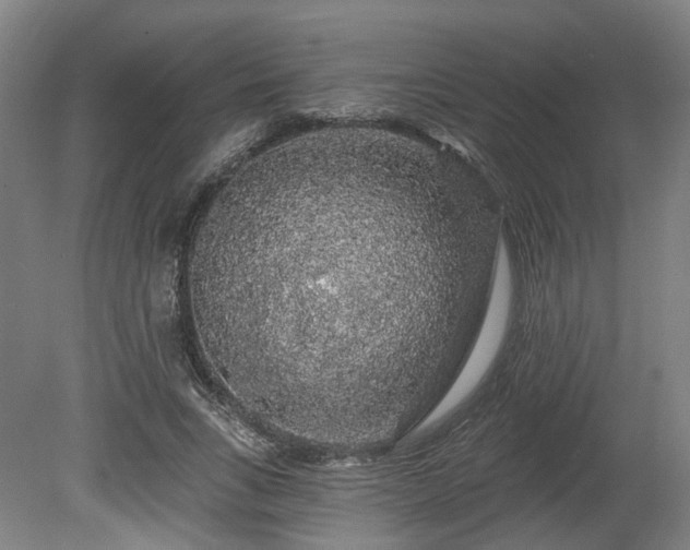 X0000080100735200612151620