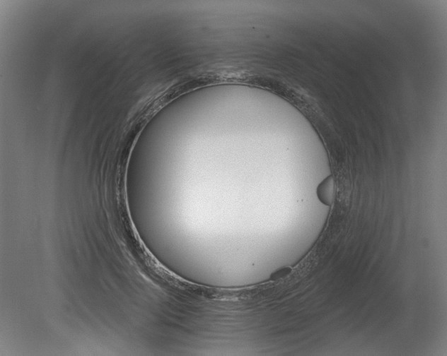 X0000080100740200612151620