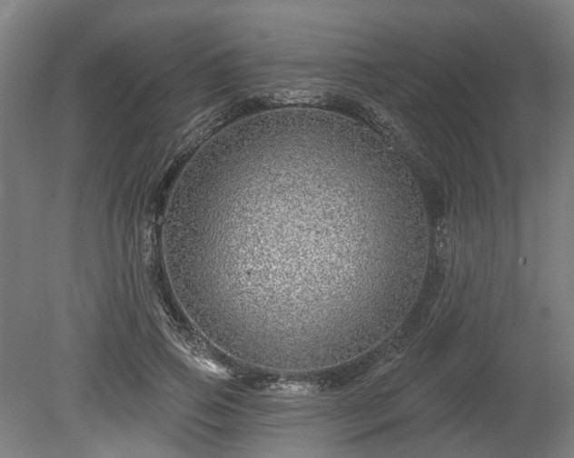 X0000080100741200612151620