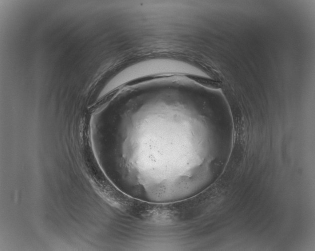 X0000080100742200612151620