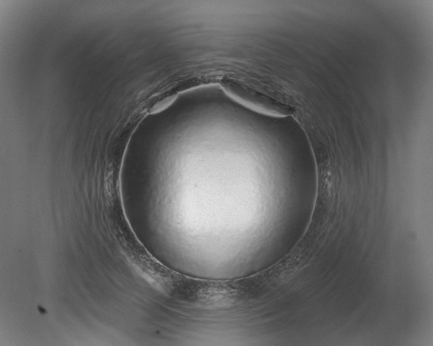 X0000080100745200612151620