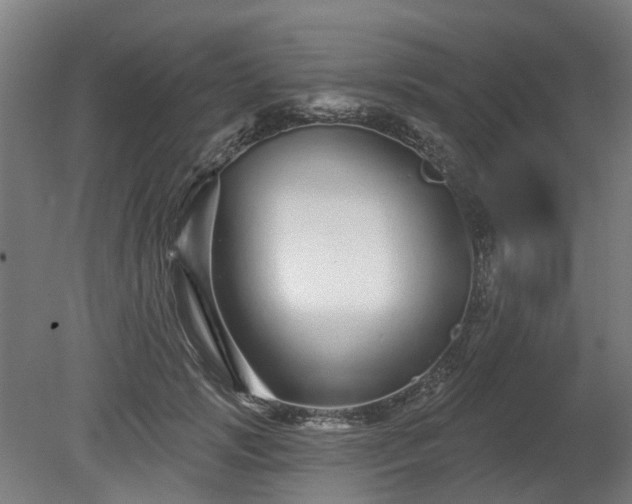 X0000080100749200612151620