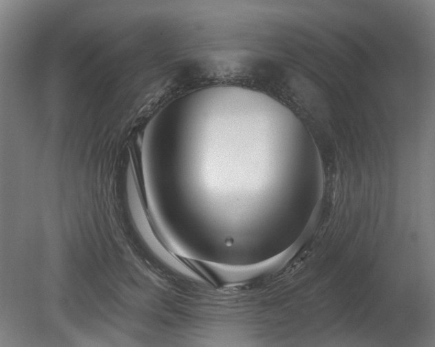 X0000080100750200612151620