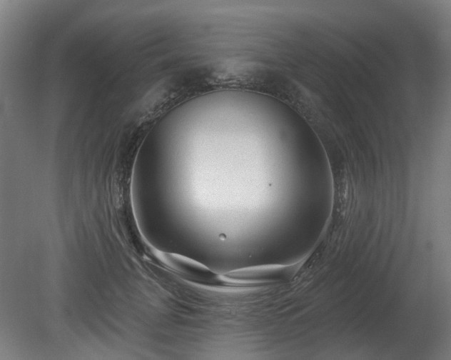 X0000080100751200612151620