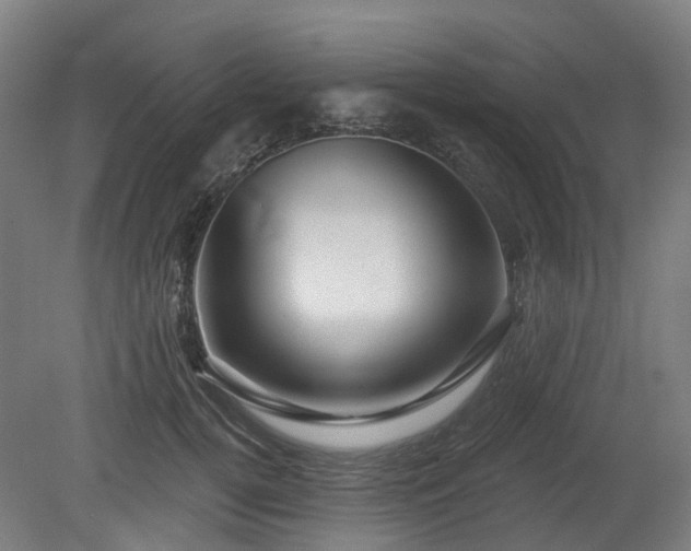 X0000080100752200612151620