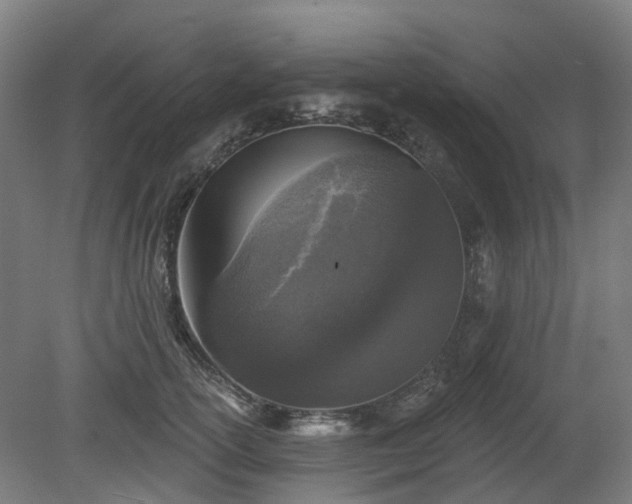 X0000080100754200612151620