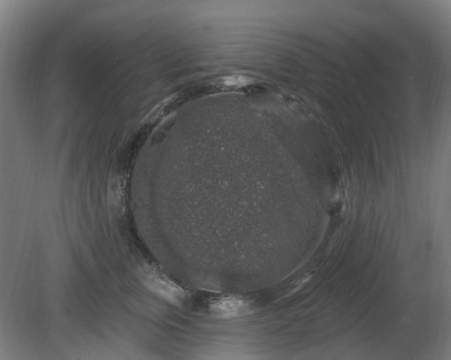 X0000080100759200612151621