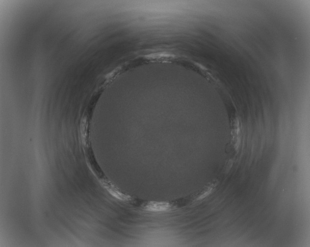 X0000080100767200612151621