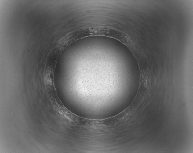 X0000080100770200612151620