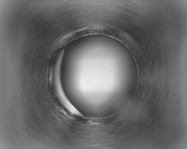 X0000080100773200612151620