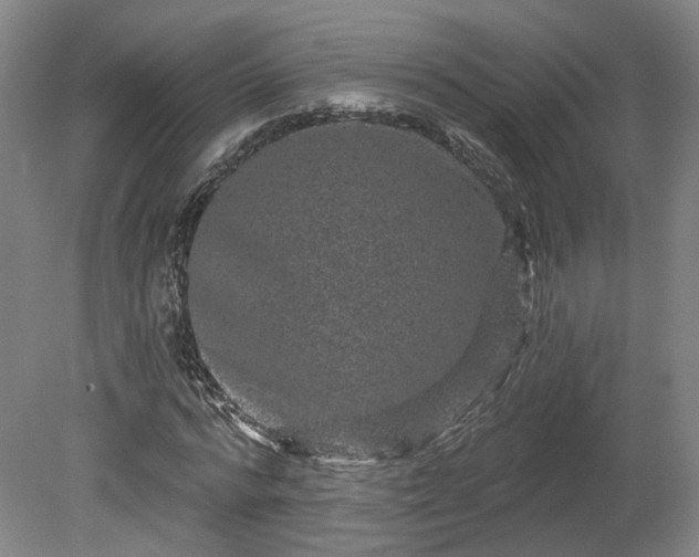 X0000080100776200612151620
