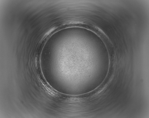 X0000080100777200612151620