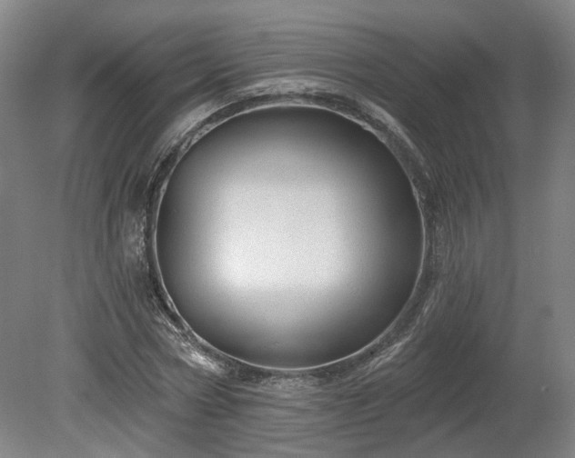 X0000080100778200612151620