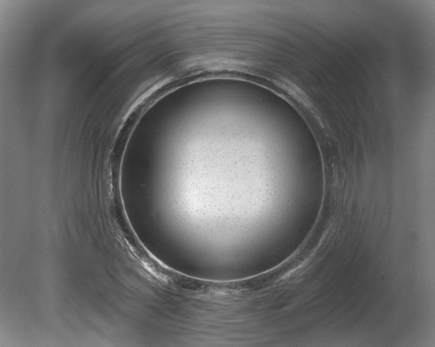 X0000080100782200612151620