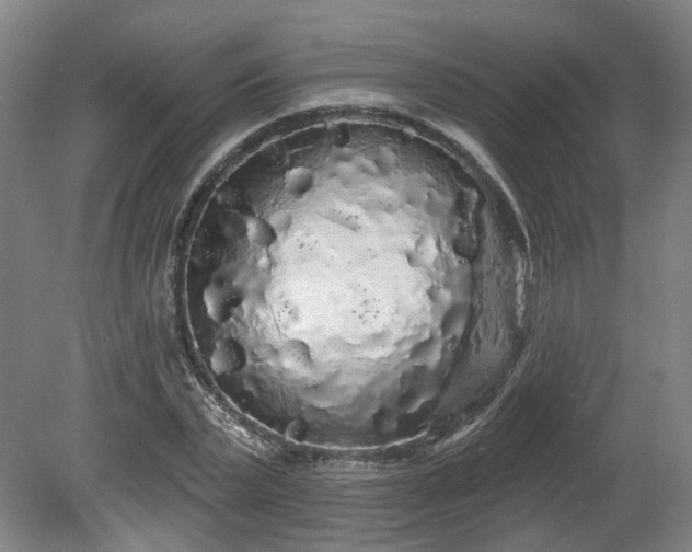 X0000080100783200612151620