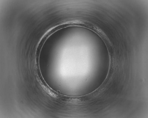 X0000080100784200612151620