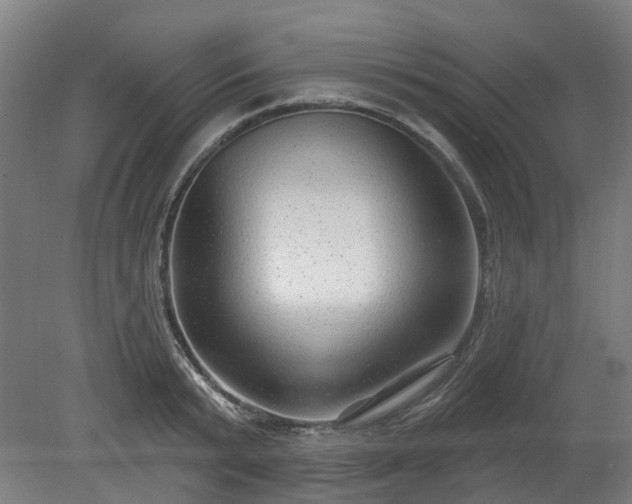 X0000080100799200612151619