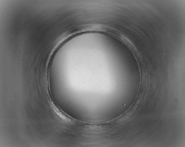 X0000080100800200612151619