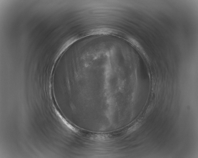 X0000080100802200612151619
