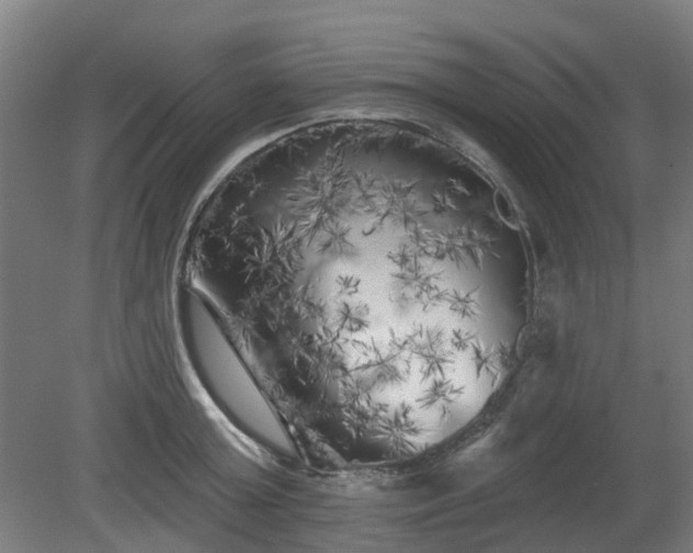 X0000080100803200612151619