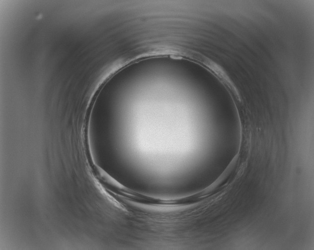X0000080100805200612151619