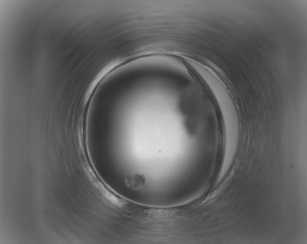 X0000080100812200612151619