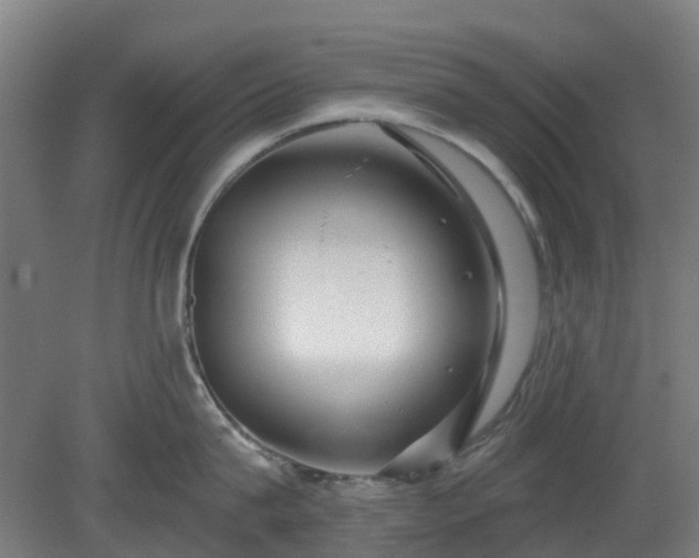 X0000080100815200612151619
