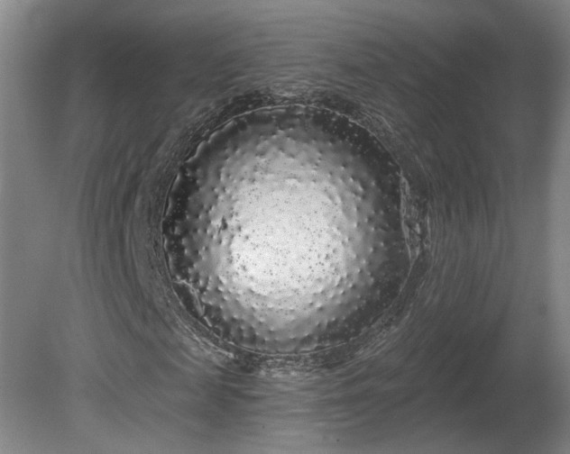 X0000080100817200612151618