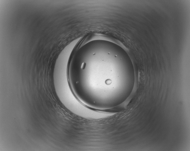 X0000080100818200612151618