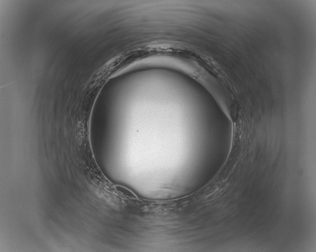 X0000080100821200612151618