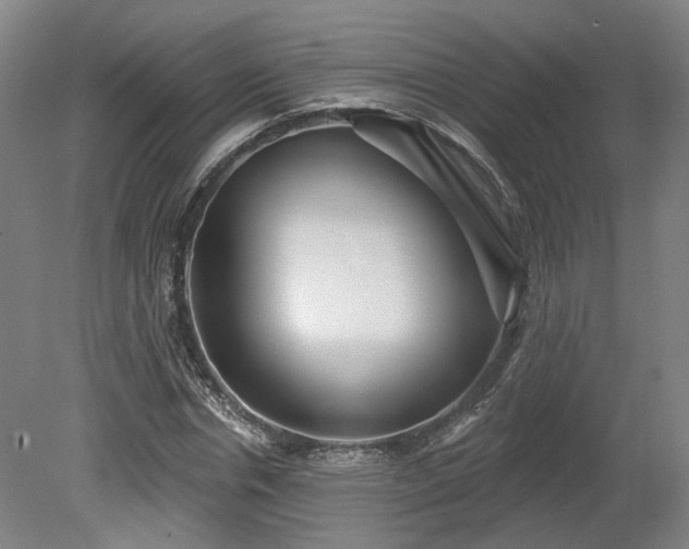 X0000080100826200612151618