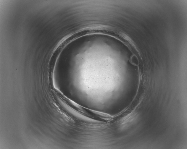 X0000080100829200612151619