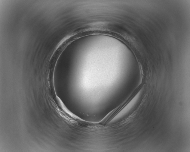 X0000080100830200612151619