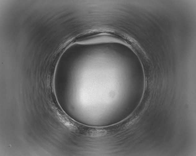 X0000080100833200612151619