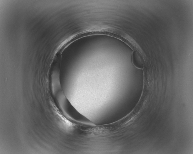 X0000080100834200612151619
