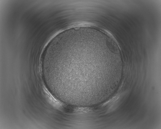 X0000080100835200612151619